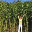 sorgo 2000 monica emilio v bunge 2